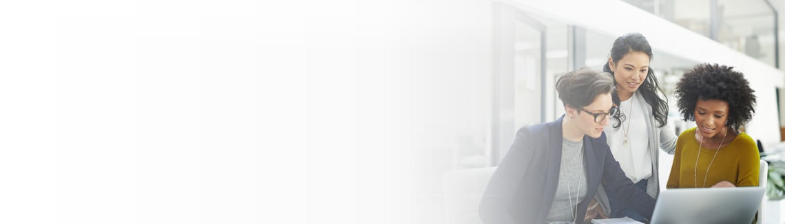 Rimini Street ERP Professional Services